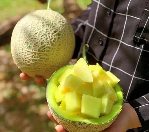 中国娱乐吃瓜,揭秘中国娱乐界的“吃瓜”盛况